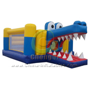 inflatable bouncer